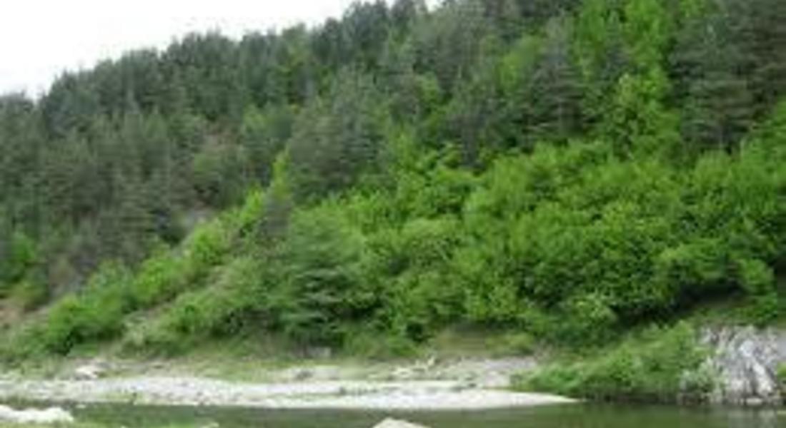 Сигнал за побеляване на река Върбица проверяват регионалните структури на МОСВ