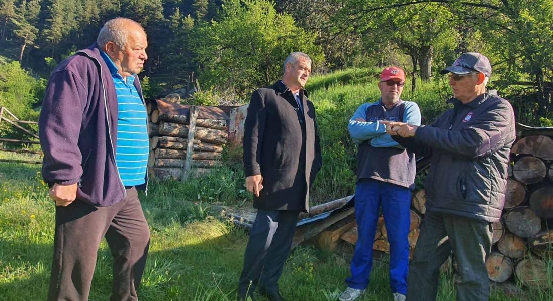 Областният управител поиска мониторинг за популацията на мечки в област Смолян