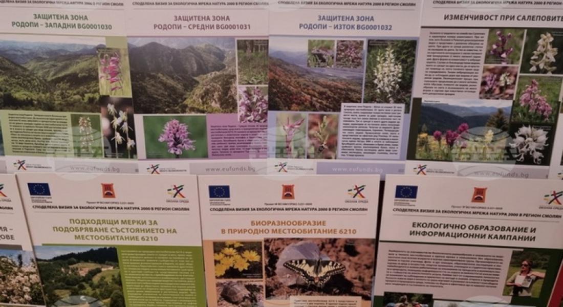 Кампания популяризира дивите орхидеи в Родопите