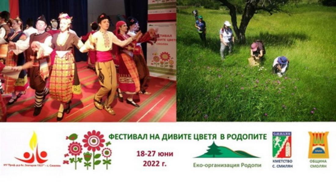 И тази година  Фестивал на дивите цветя в Родопите