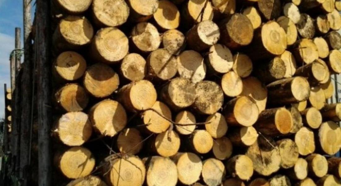 Десетки нарушения за три дни установиха горските инспектори в страната