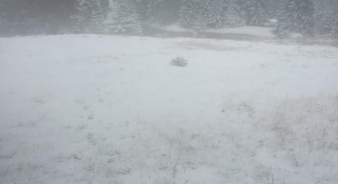 Снежна покривка от близо пет см има в Пампорово