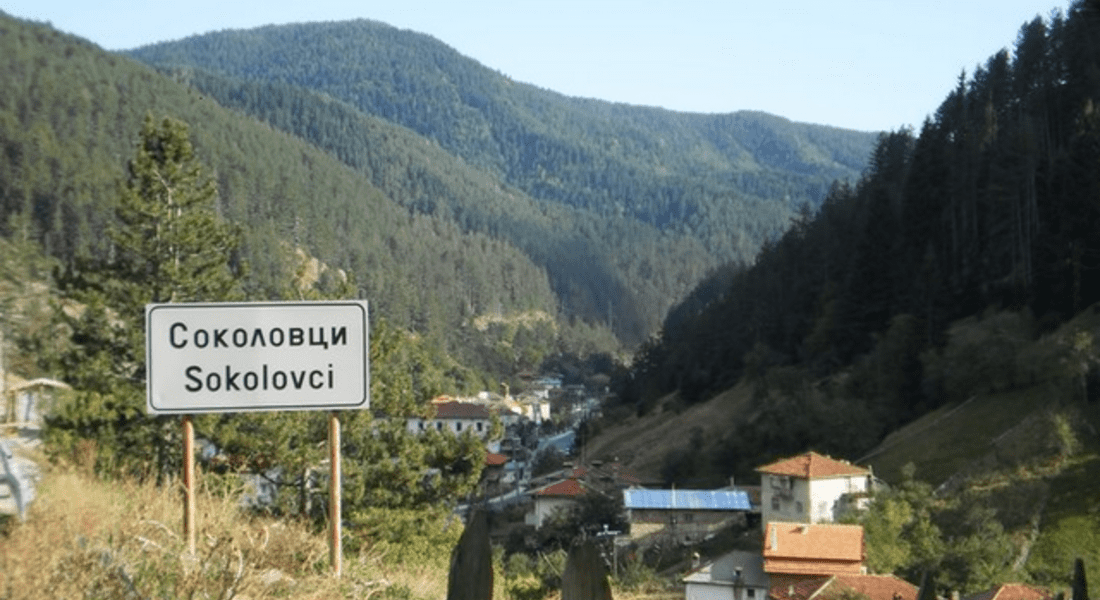Приют за пернати домашни любимци е настанен в къща в родопското село Соколовци