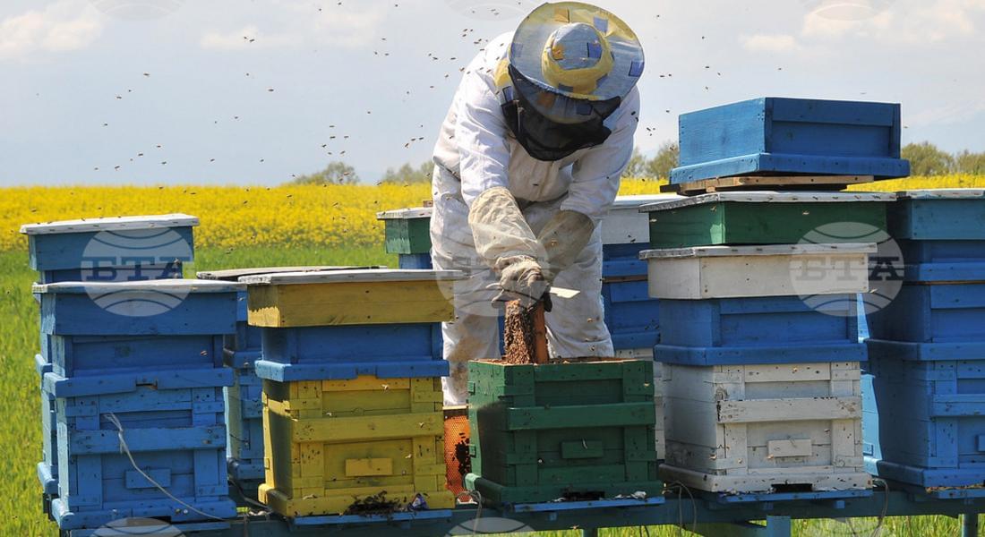 Производители на мед от Родопите обсъдиха гръцкия опит в номадското пчеларство