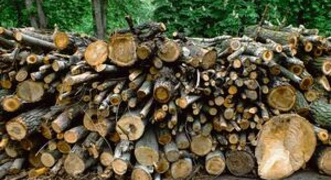  Цените на дървата за огрев скачат още преди отоплителния сезон