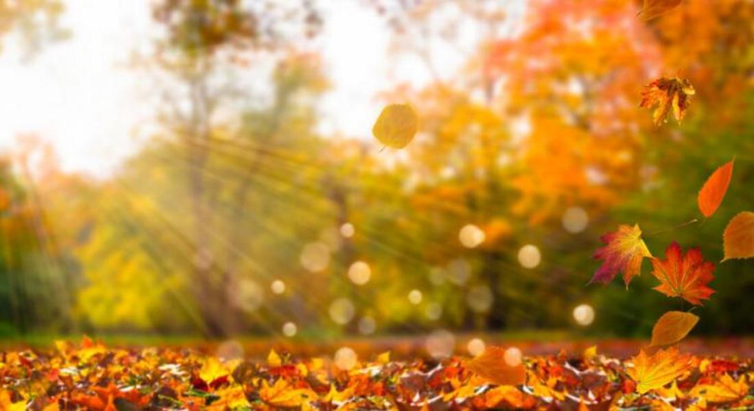 Прогноза за октомври: Какво време ни очаква