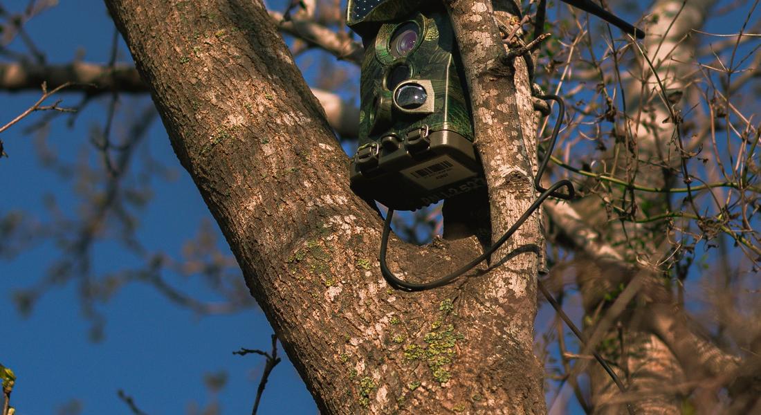 Правилно подбраните ловни камери дават голямо предимство