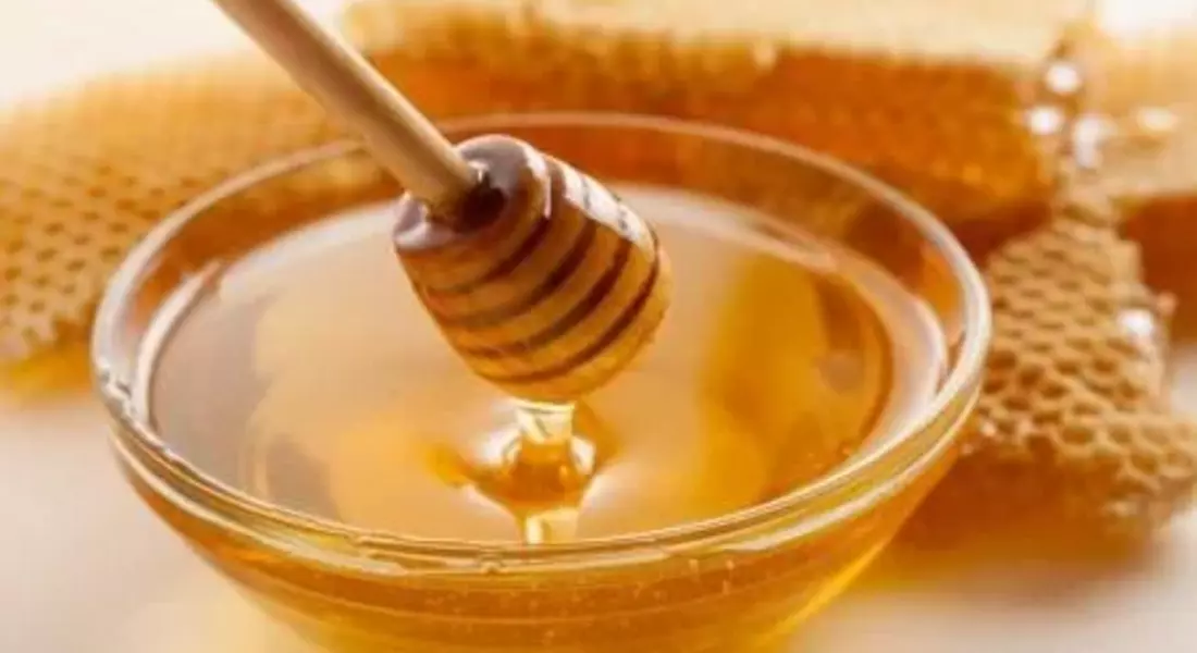 По-слаба е реколтата от пчелен мед в Смолянско заради климатичните аномалии