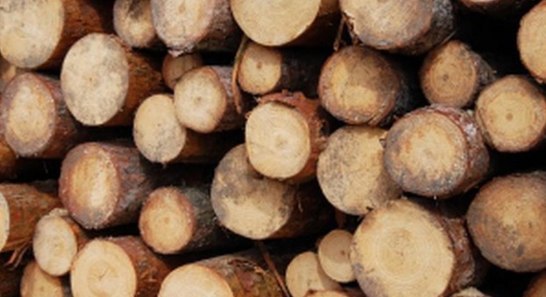 С 20% ще се намали цената на дървата за огрев за населението