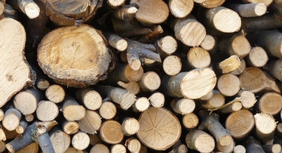 Задържаха 23 куб. м незаконна дървесина в Смолянско