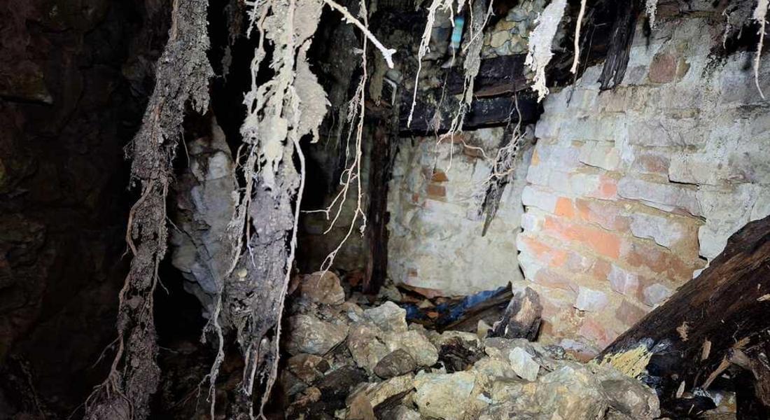 Възстановяват пещерна лаборатория като част от нова екопътека край Чепеларе