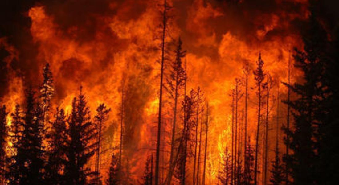 20 дка широколистна гора изгоря вчера край Златоград, изясняват причината за пожара