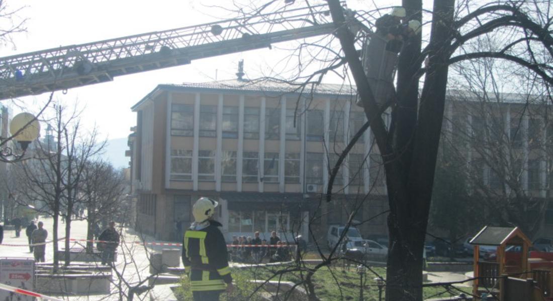 Спасителен екип на пожарната отстрани опасни клони на дърво в детска площадка