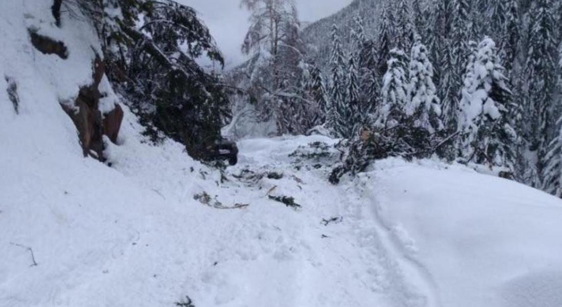 Спасители отстраняваха множество паднали дървета в Смолянско