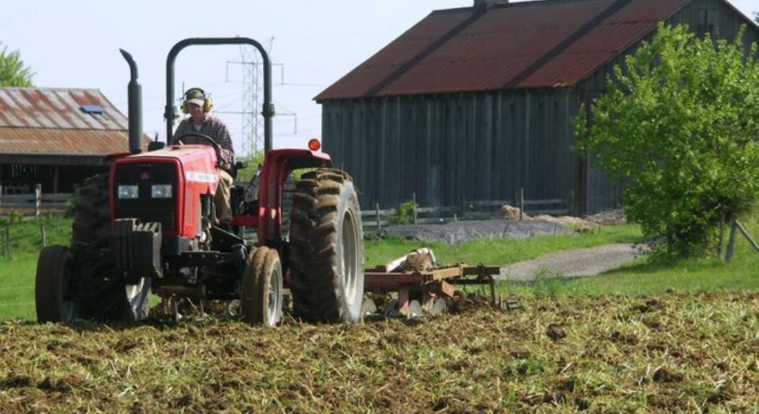 Фонд „Земеделие” изплаща субсидиите за единица площ