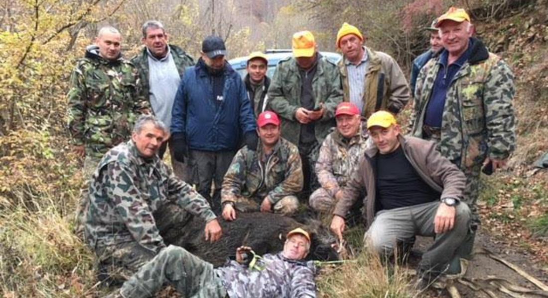 Глиган с рекордни размери отстреляха ловци в Родопите
