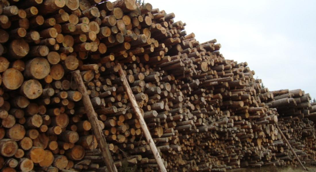 Осигурени са над 1,2 млн. куб. м дърва