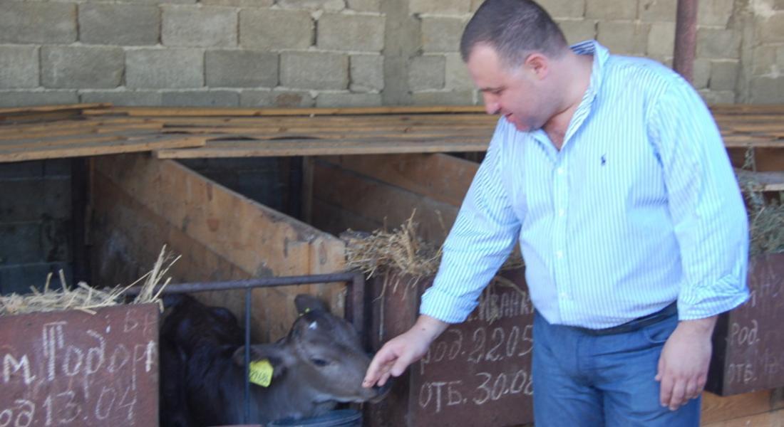 Министър Найденов ще иска отсрочка за кравефермите, които са ІІ и ІІІ категория 