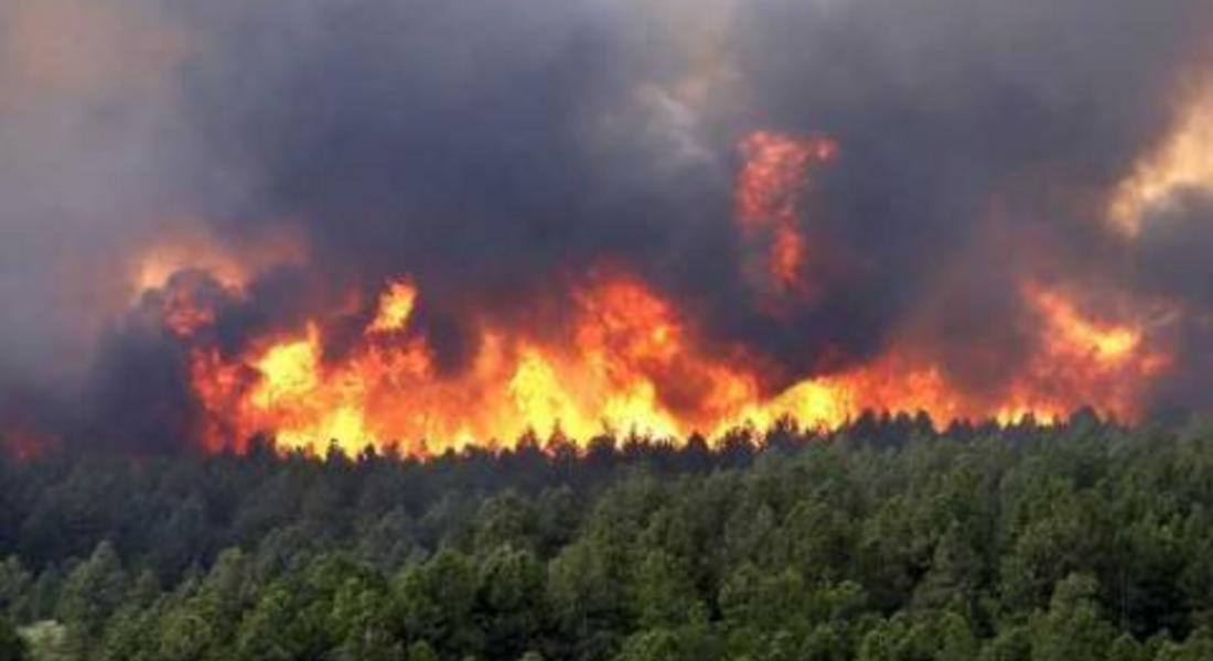 Опасност от пожари: Огнеборците гасиха 20 пожара за месец