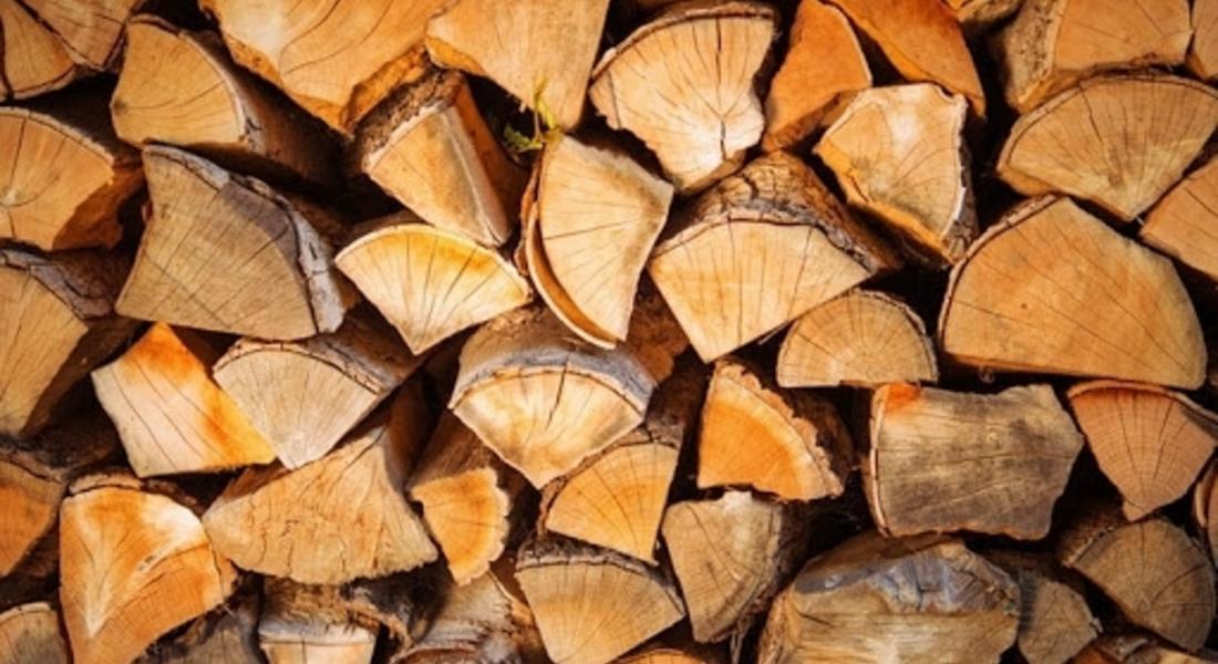 ДГС "Доспат" намали количествата на дърва за огрев за 2022 година