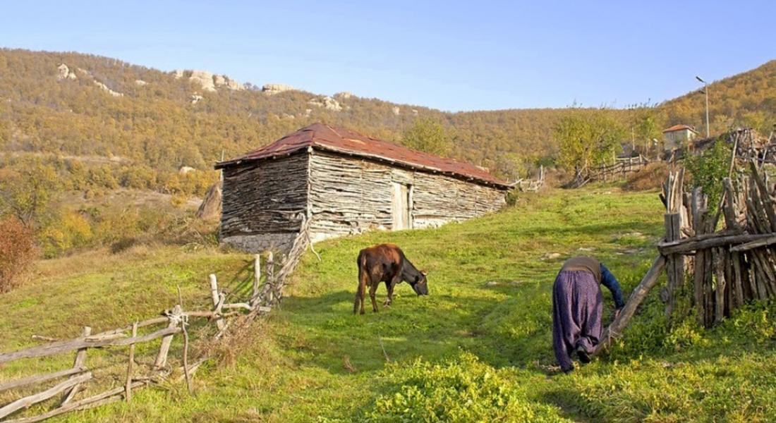  Села в Родопите, забравени от Бога - без магазин, автобус и аптека