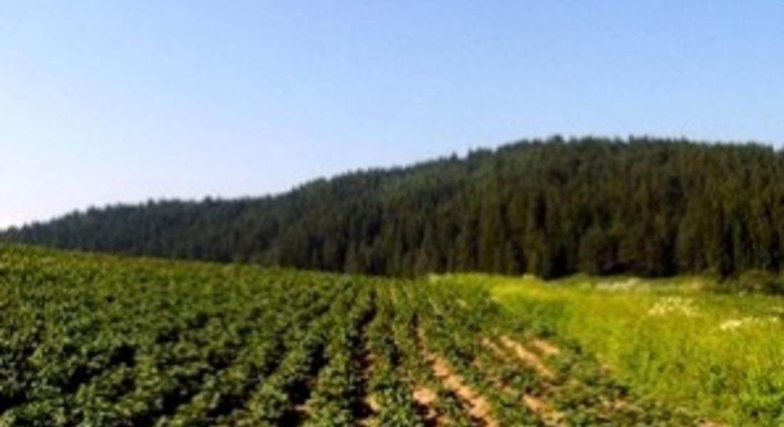 Ползвателите на земеделски земи подават декларация за ползване на земите 
