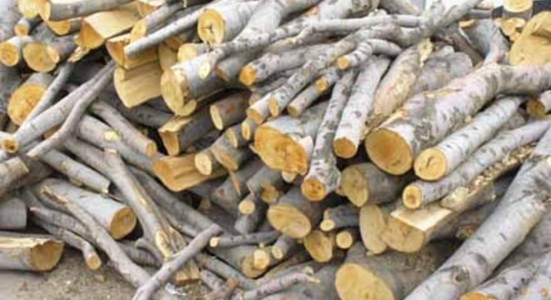 С 50 лева са се увеличили дървата за отопление в Смолян