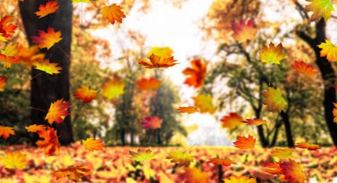 Какво време ни носи есента през новата седмица