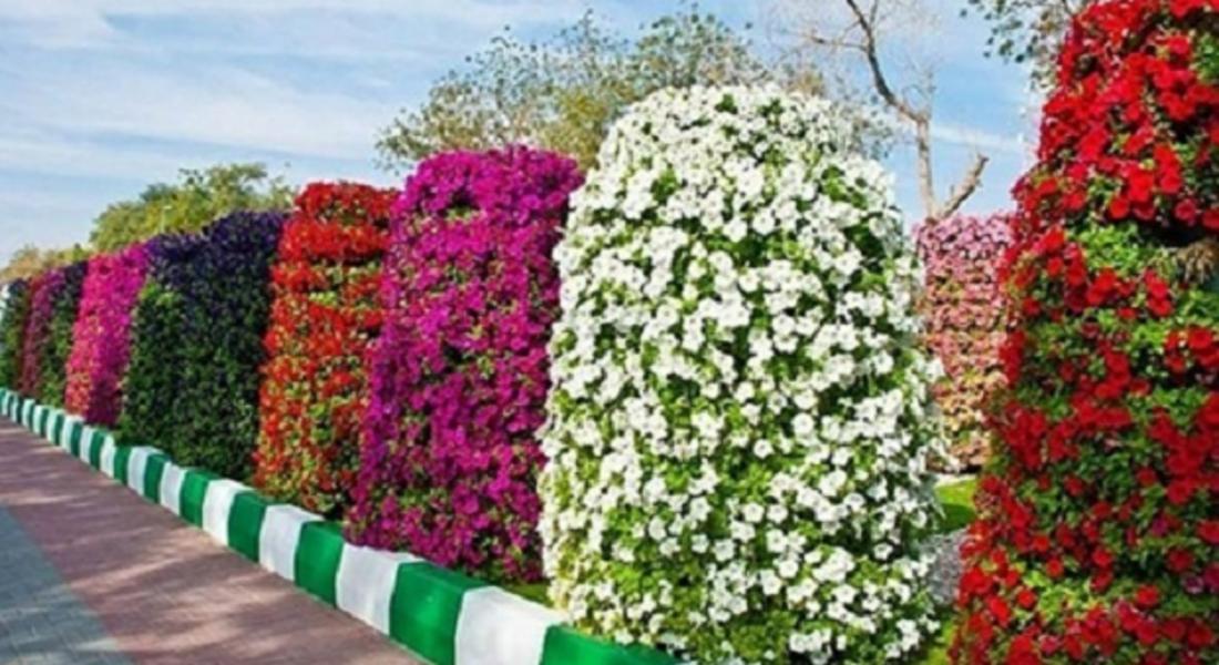  В Златоград преобразяват мостовете в цветни градини