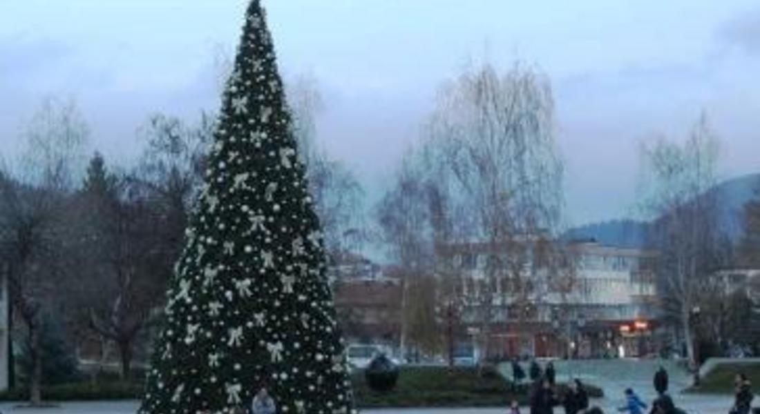 С красива празнична украса грейна Коледната елха в Златоград