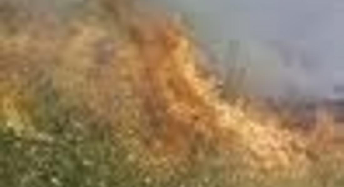 Два декара сухи треви и храсти изгоряха край Борино