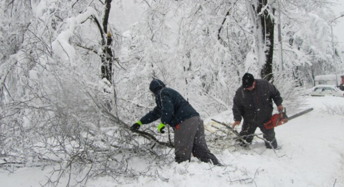 Община Смолян помага на ЕВН с дървосекачи, за да се осигури достъп до далекопроводите  