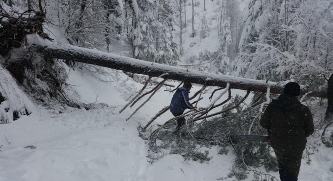 Доброволците от снежното бедствие ще получат по 10 кубика дърва