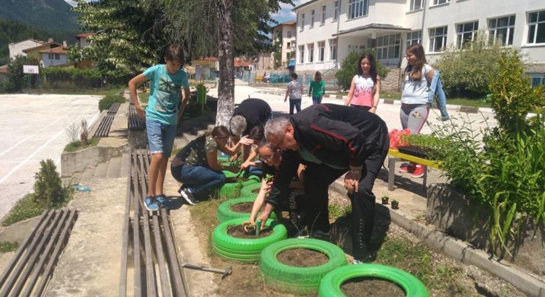 Деца засадиха цветни градинки в областният град