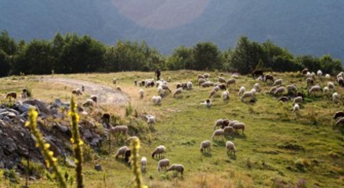 Правят еко ферма под земята в Родопите