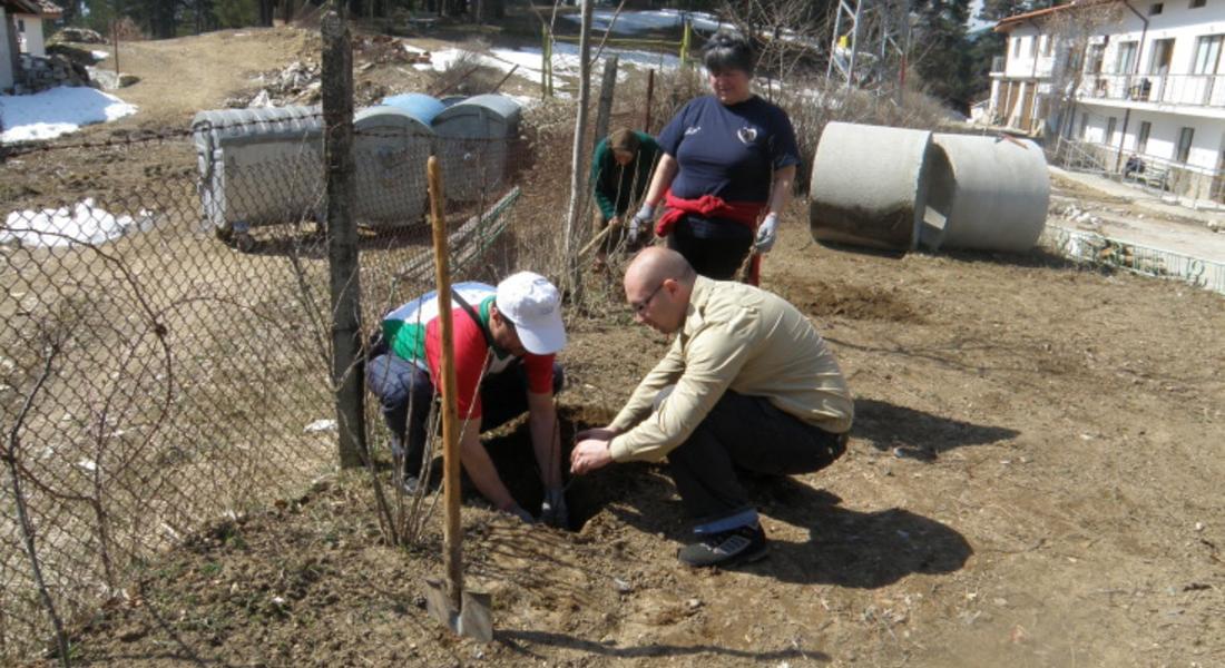 Общински съветници от ГЕРБ засадиха дръвчета в двора на дома във Фатово