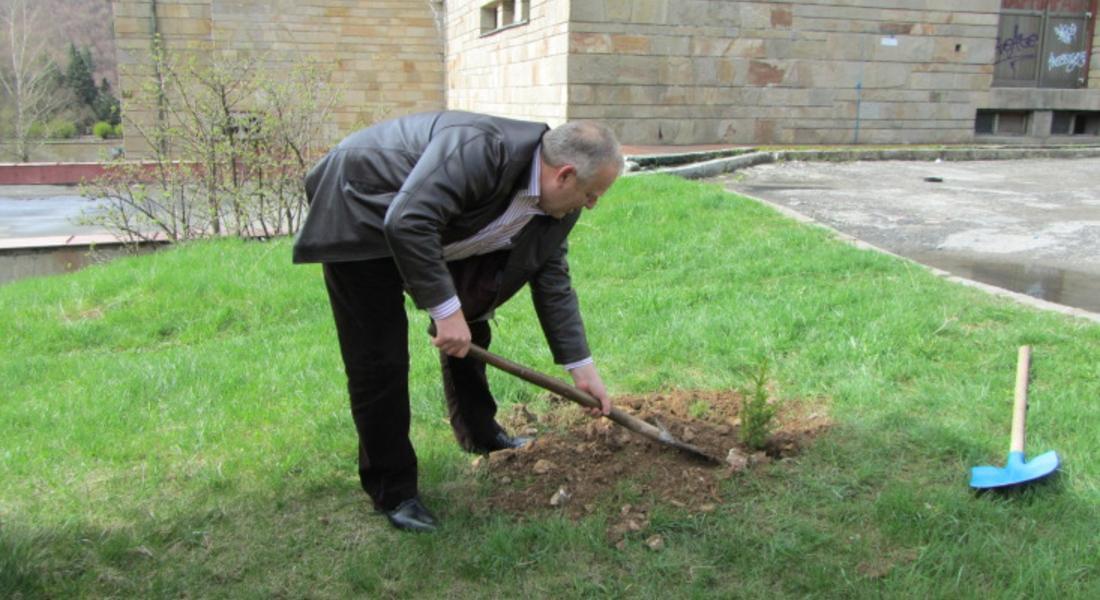 Кметът Николай Мелемов даде старт на инициативата "Да засадим дърво"