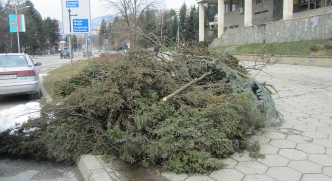 Недялко Славов: Най-късно до края на април трябва да се отстранят дърветата от пътища и дерета
