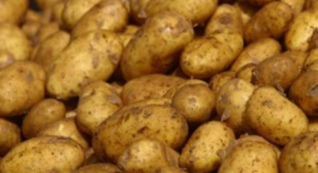 Близо 19 тона картофи с произход Полша са възбранени и ще бъдат върнати