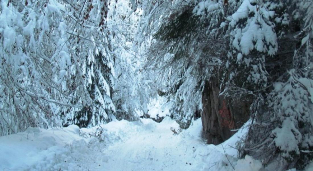 Снежна буря затвори пътя Смолян-Мугла