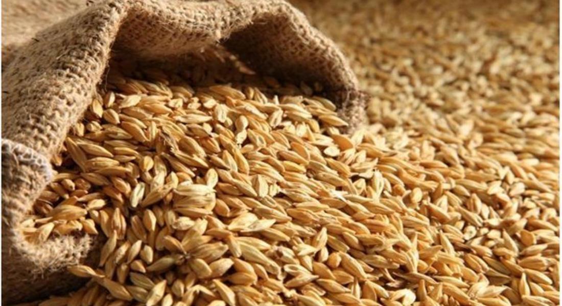НАП наблюдава износа на зърно