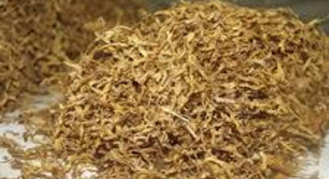 Откриха контрабанден тютюн в дома на златоградчанин