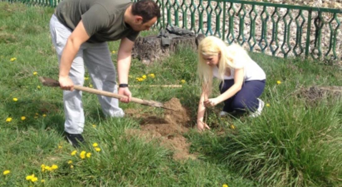 Над 20 дръвчета засадиха активисти на МГЕРБ в Смолян по повод Седмицата на гората