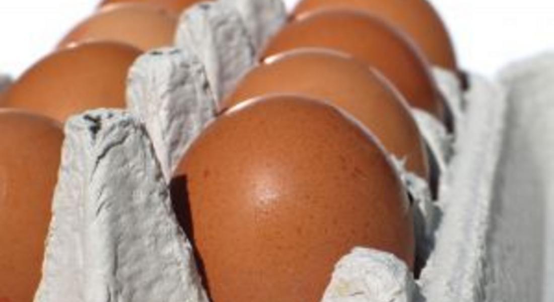 Възобновява се износът на яйца и млечни продукти за Турция