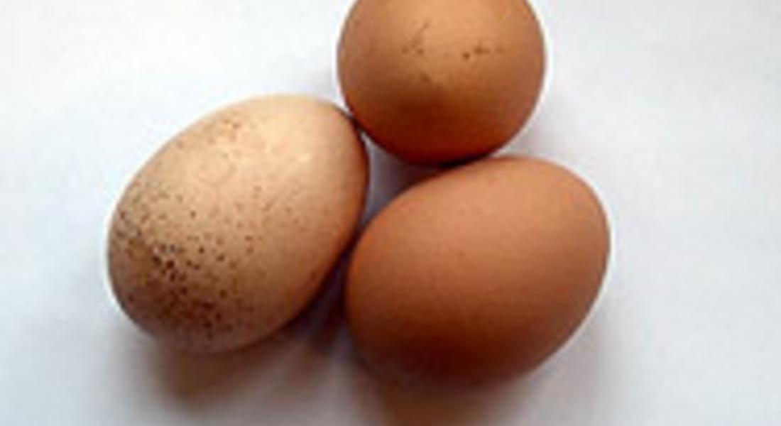 Масови проверки на яйцата преди Великден