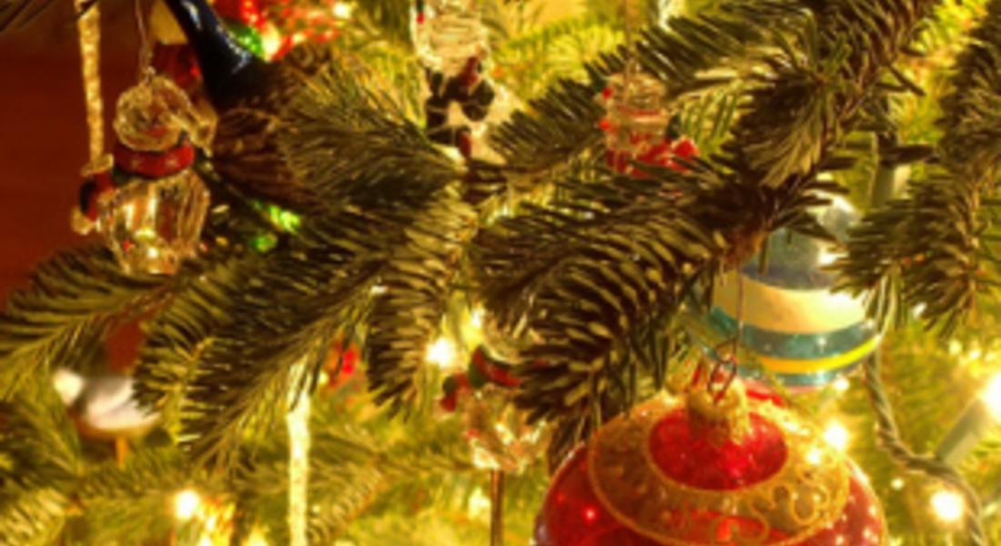  Светлините на коледната елха ще грейнат на 14 декември в Смолян