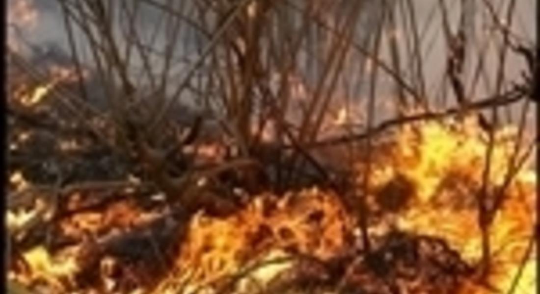 26 пожара са регистрирани през ноември в област Смолян