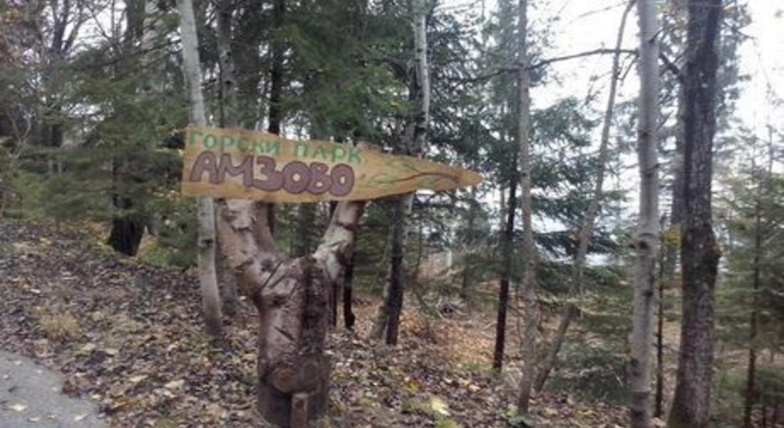 Откриват система за енергийно захранване на горски парк „Амзово“
