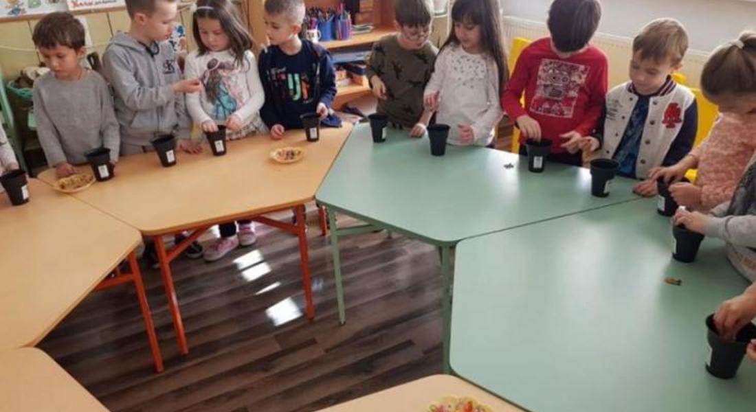 Детските градини в Смолян засега остават затворени