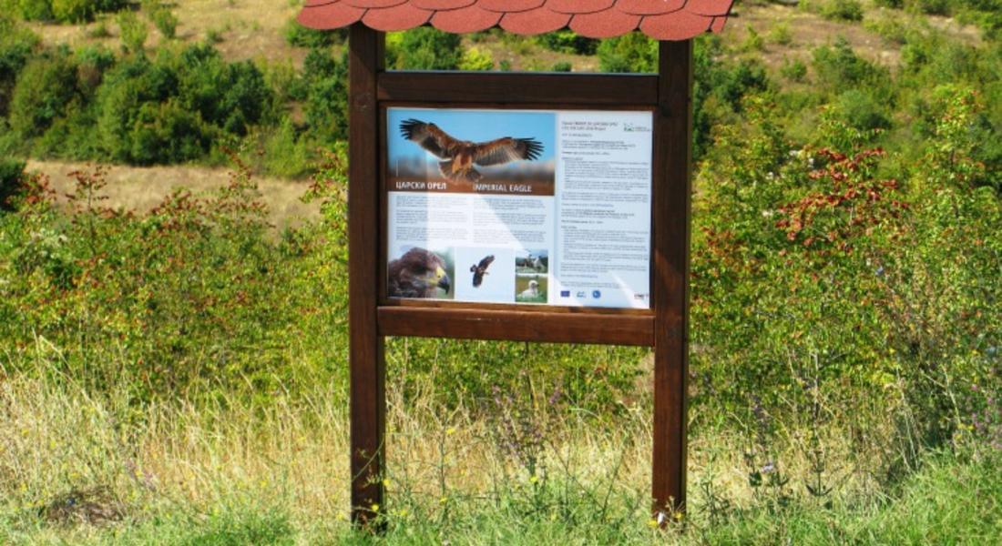 “Електроразпределение Юг“ монтира 12 табели с информация за царския орел